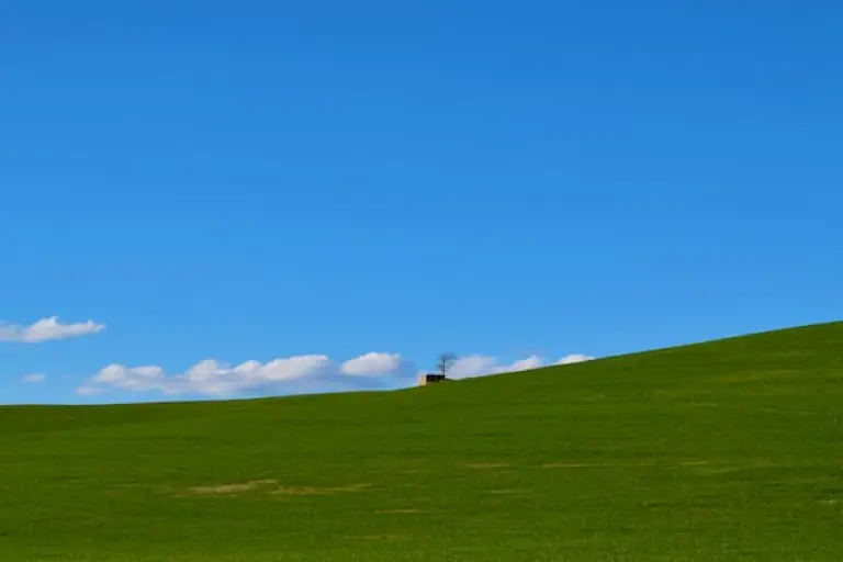 Comparing low power wide area networks (LPWAN) for IoT